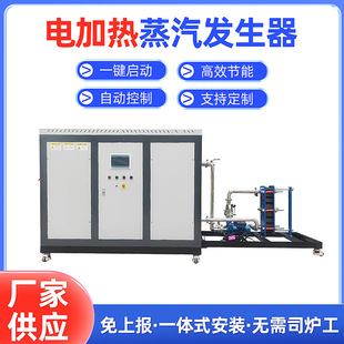电加热蒸汽发生器